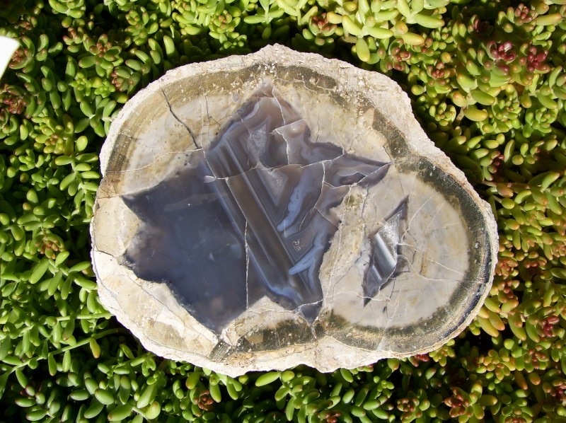 Double Naches with Dark Agate